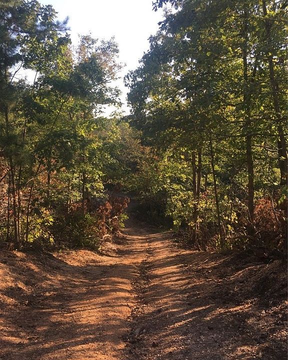 2nd image of Evans Ln