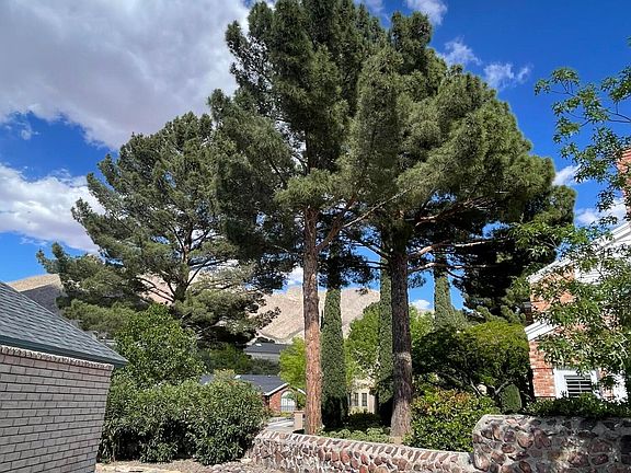 4th image of 1205 Cerrito Perdido Ln