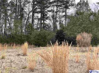 1523 Indian Branch Rd, Darlington, SC 29532