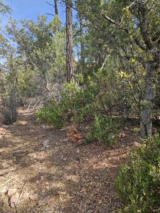 246 Bradshaw Dr, Pine, AZ, 85544