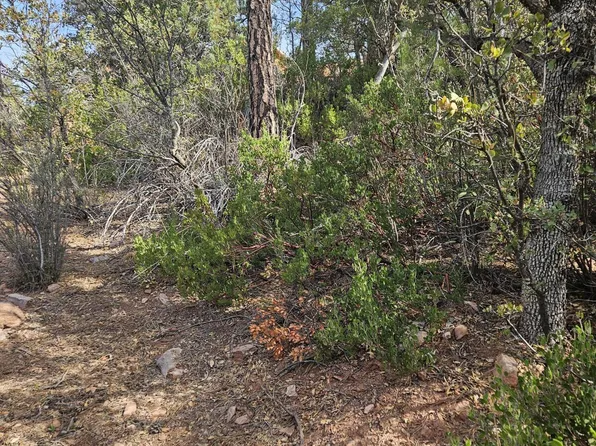 246 Bradshaw Dr, Pine, AZ 85544