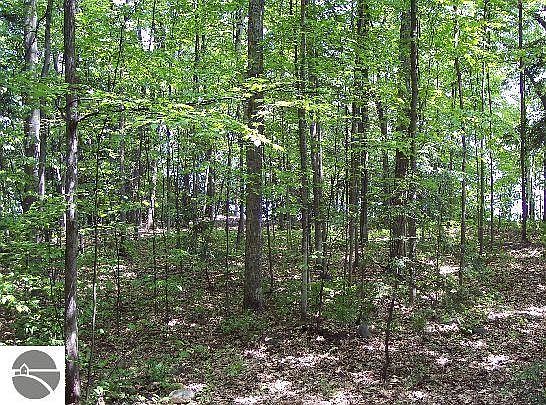 1st image of 4085 White Birch Dr