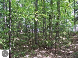 4085 White Birch Dr, Grawn, MI 49637