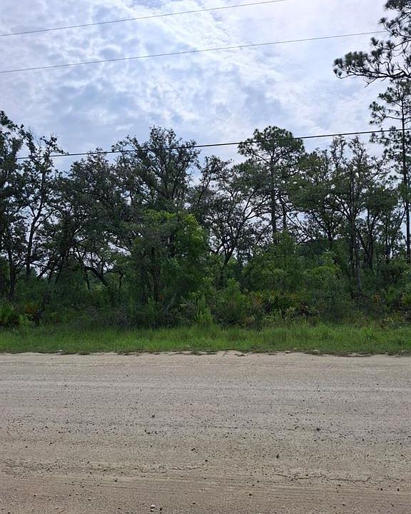 1st image of 18308 PARAKEET ROAD LOT 32