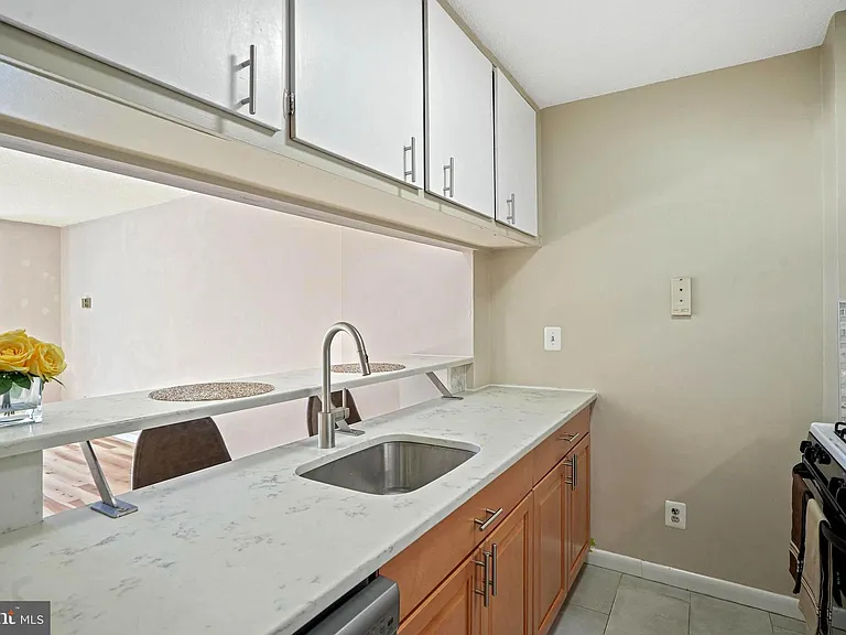 11801 Rockville Pike #207 — Photo 7