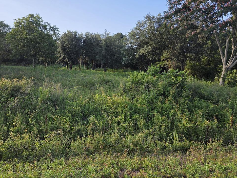 2nd image of 163 Moonlight Dr