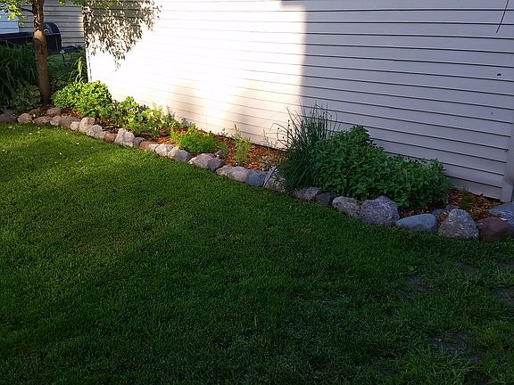 Flowering herb garden 12+