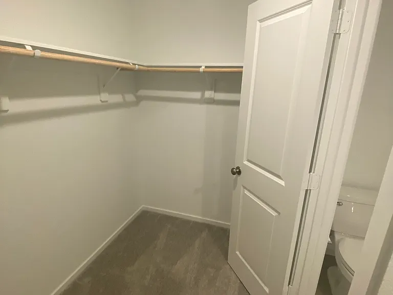 29035 Rustic Windmill Way — Photo 17