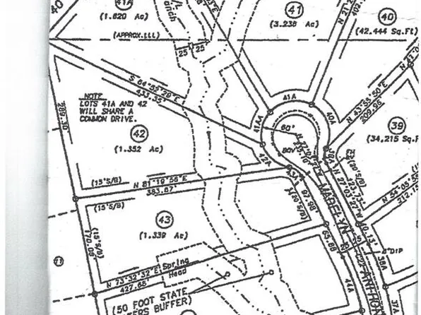 41A&42 Madeline Anthony Rd #41&42, Dahlonega, GA 30533