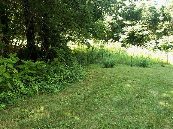 Backyard and garden space