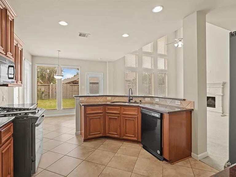 15006 Aster Petal Ct — Photo 3