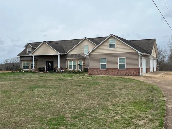 3100 Old McKenzie Hwy, Henry, TN 38231