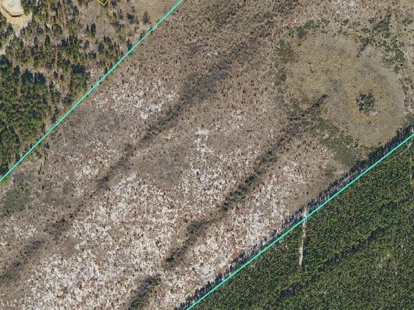 Tbd Dowd Dairy Road LOT 1, White Oak, NC 28399