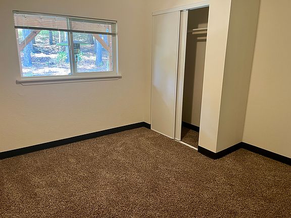 Window allows view of trees in backyard.