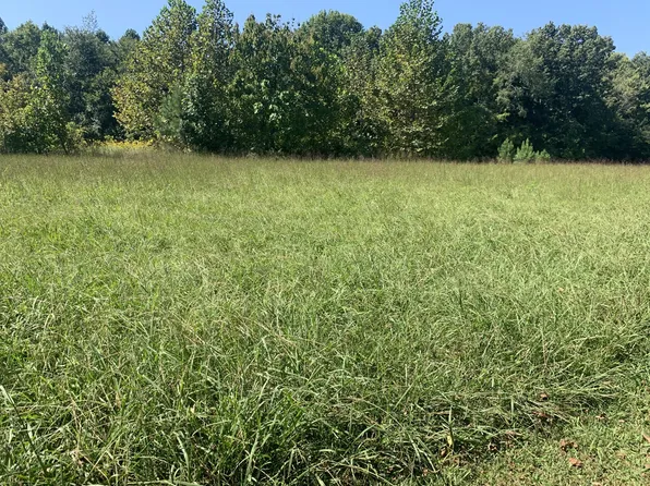 0 York Hwy Lot 6 & 7, Gainesboro, TN 38562