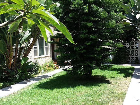Beautiful Lush Courtyard