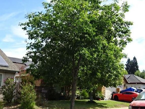 3rd image of 1280 Virage Ln