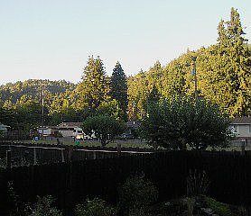 View from the back deck
