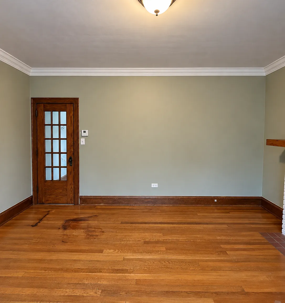 1 bed, 725 sqft, $1,250 — Photo 4
