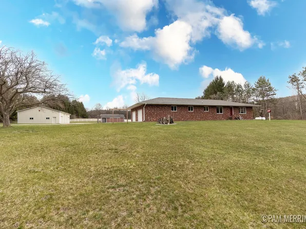 10360 N Wyman Rd, Edmore, MI 48829