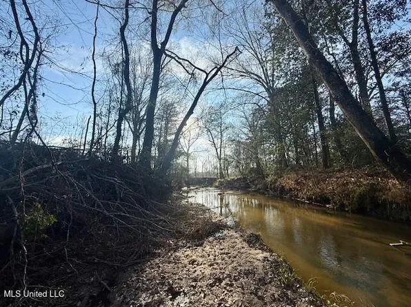 Pecan Orchard Rd, Liberty, MS 39645