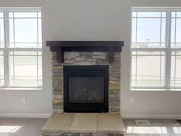 Living Room Fireplace