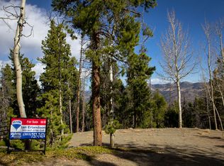 10 Beaver Brook Canyon Rd, Evergreen, CO 80439