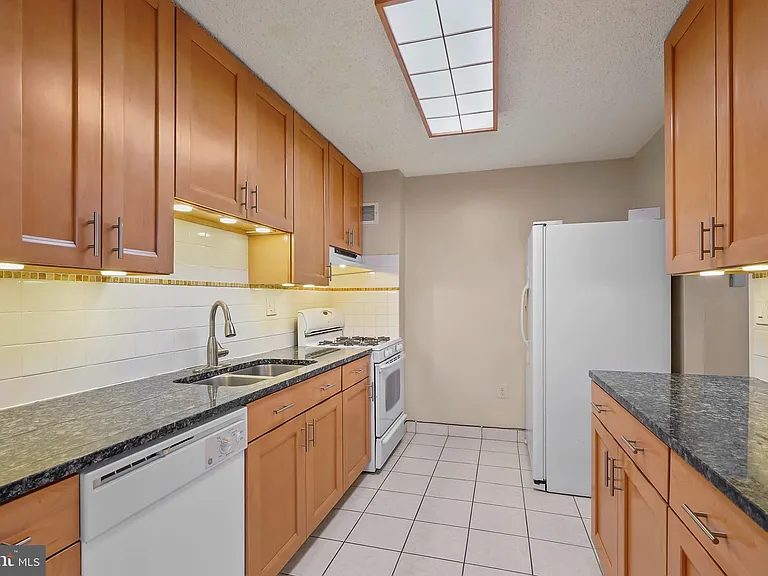 1225 Martha Custis Dr #1119 — Photo 18