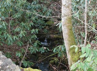 Township Road 24 Sassafras Rdg, Sapphire, NC 28774