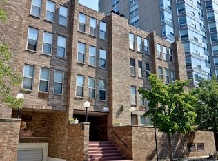 744 W Gordon Terrace #206, Chicago, IL 60613