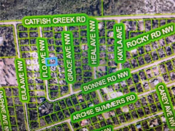110 Flo Ave NW, Lake Placid, FL 33852