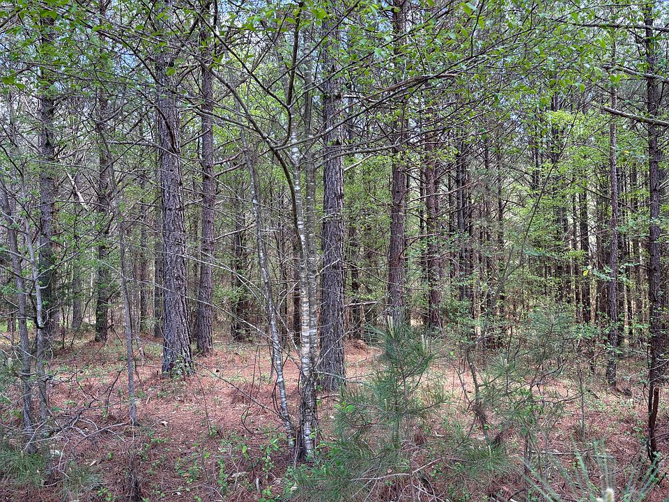 2nd image of 329 Mountain View Cir