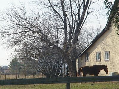 Neighbor across the street