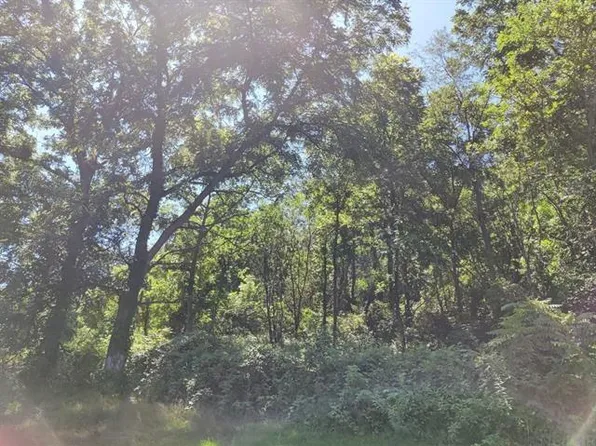Valley St, Lansing, IA 52151