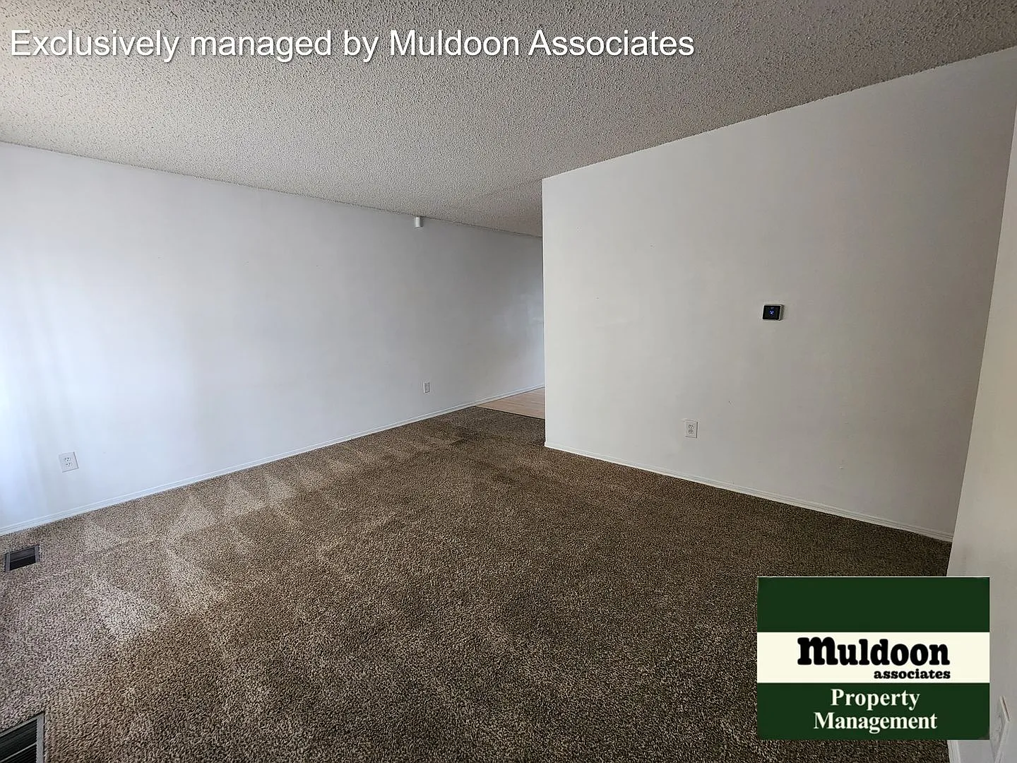 Great Belmont 3 bed 2 bath 2 car garage Rancher. Available now! — Photo 2