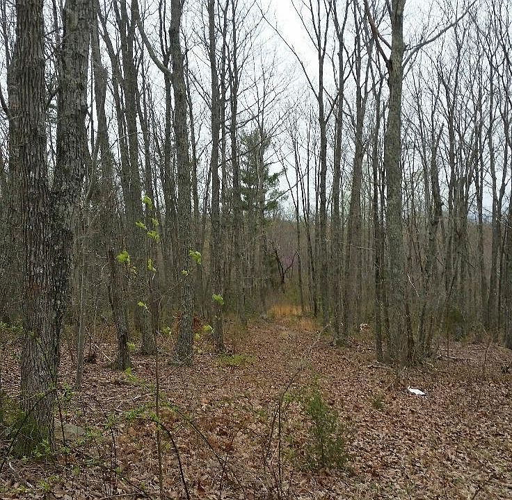 2nd image of 0 Meadow Dr