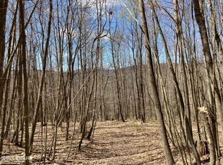 Bethel Hill Rd, Susquehanna, PA 18847
