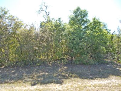 LOT 9 Firetower Rd #8, Chipley, FL, 32428