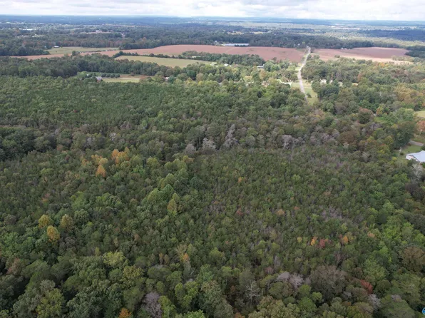 County Road 155, Flat Rock, AL 35966