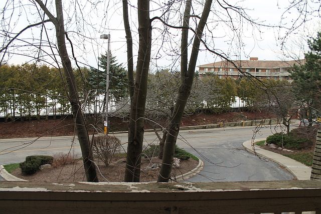 1st image of 1700 Wedgewood Dr APT 210