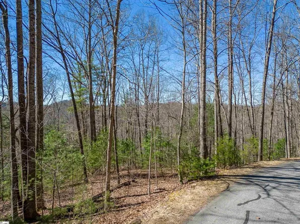 132 Overlook Park Dr, Hendersonville, NC 28792