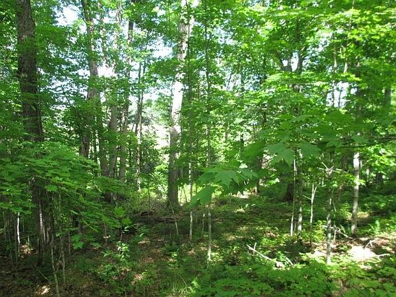 5th image of LOT 3 Fisher Lake Rd E