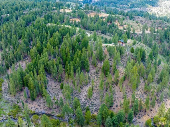 1863 & 1737 Clio State 40a Rd, Clio, CA 96106