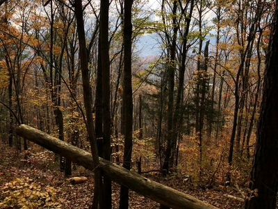 Red Bird Ln #5 & 6, Walland, TN, 37886