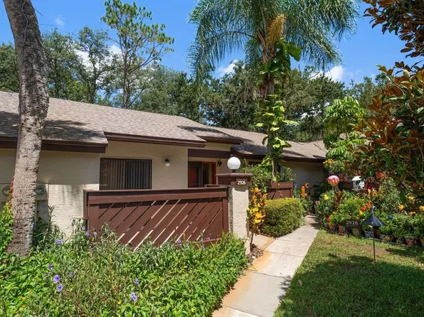 2926 Star Apple Ct, Palm Harbor, FL 34684