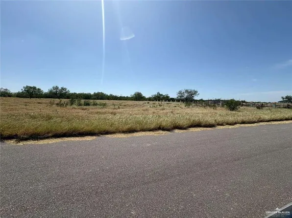 123 Woodlands Rd, Rio Grande City, TX 78582