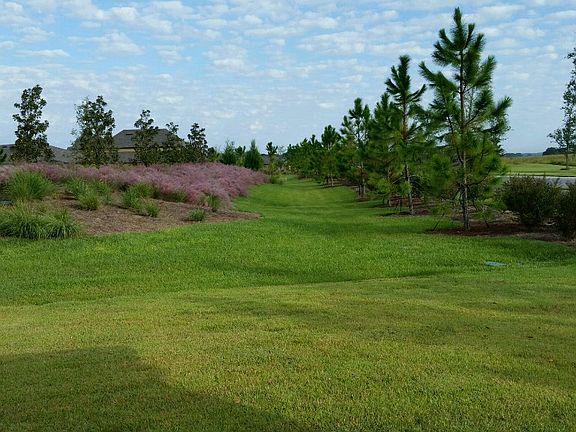 Lanai view behind home