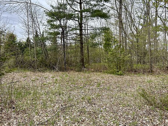 4th image of 31 Glen Ridge Rd