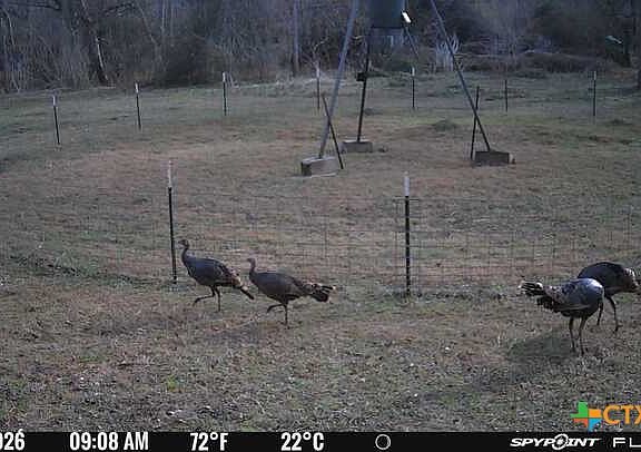 4th image of 2224 Levee Rd