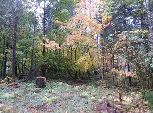 0 Silver Tip Ln, Packwood, WA 98361